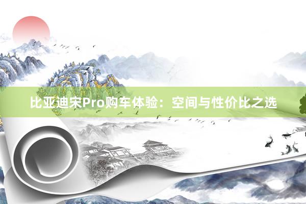 比亚迪宋Pro购车体验：空间与性价比之选